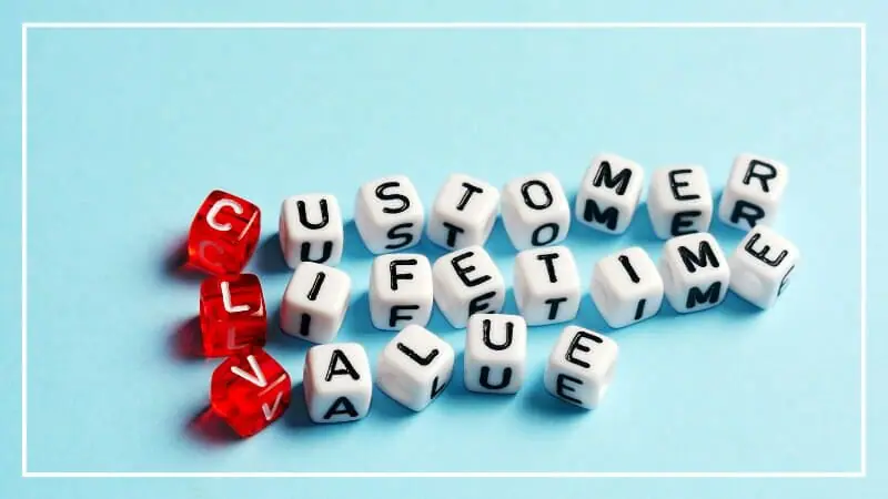 ecommerce brand customer lifetime value